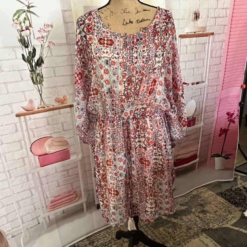 Sheer with lining short dress or long top